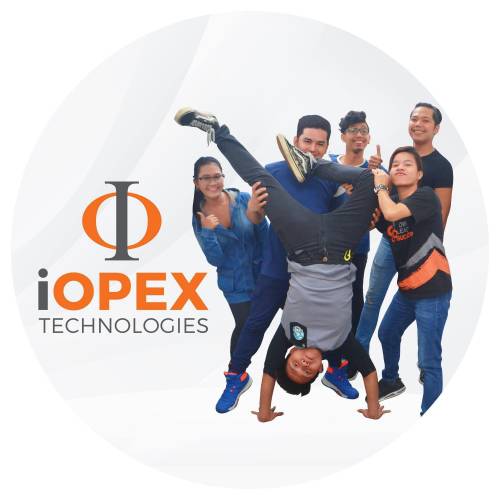 Job openings in iOPEX Technologies Inc  logo