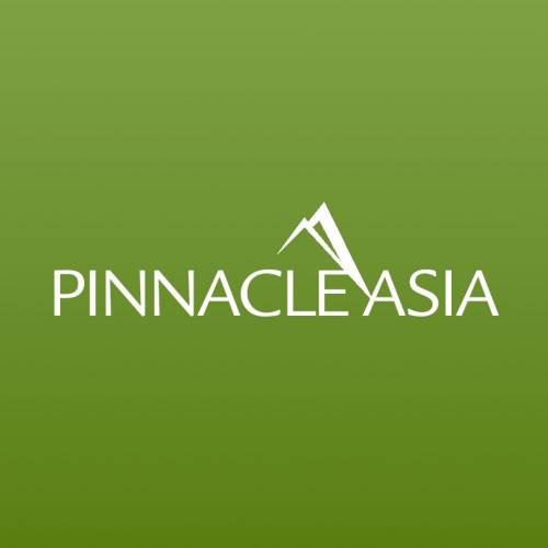 Job openings in Pinnacle Asia Outsourcing logo
